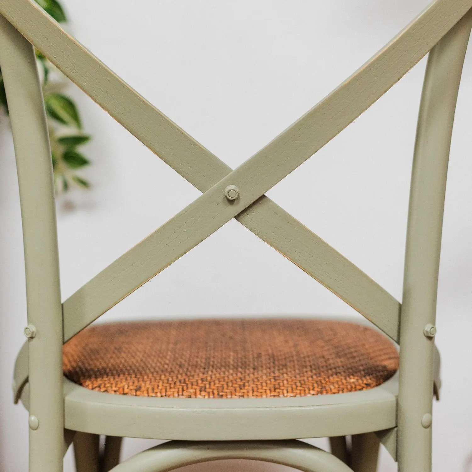 Hampshire Elm Wood X-back Dining Chair